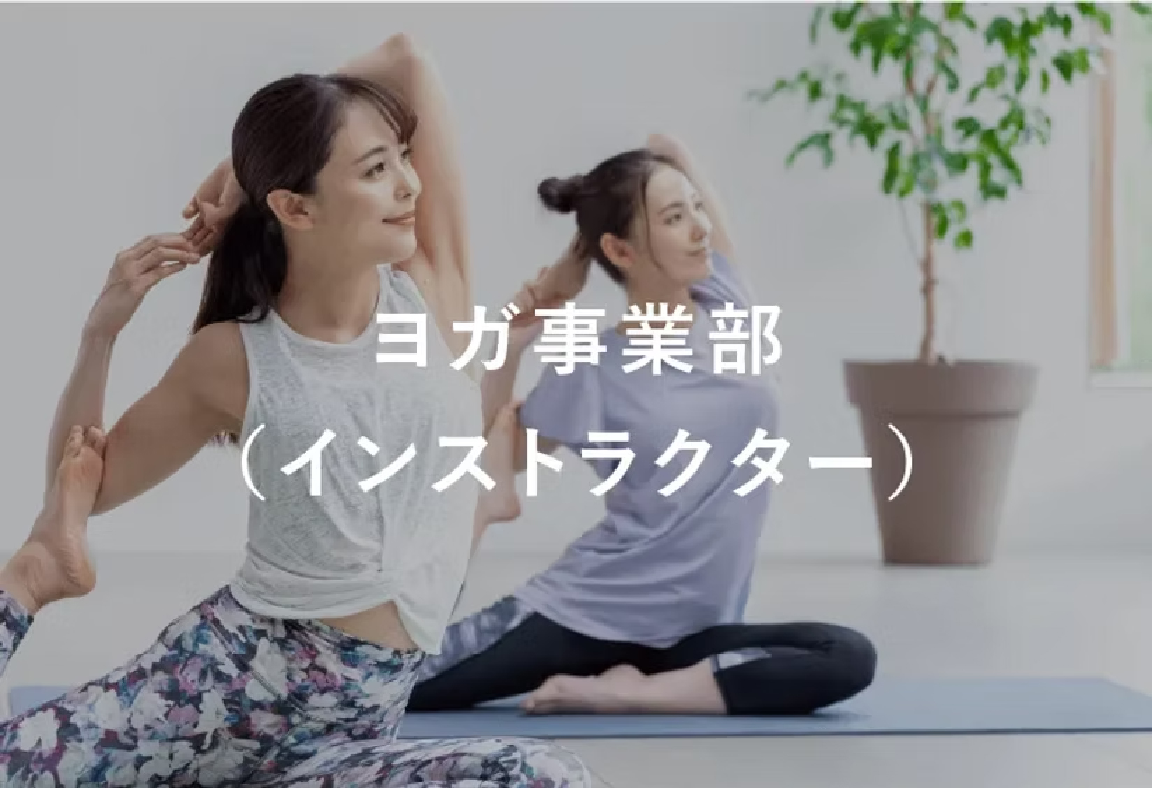 ヨガ事業部(インストラクター)