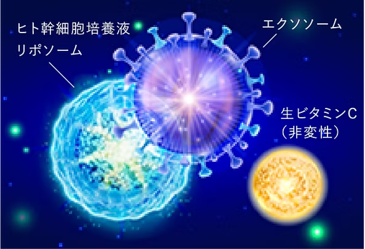 ヒト幹細胞培養液リポソームとエクソソームの融合に成功