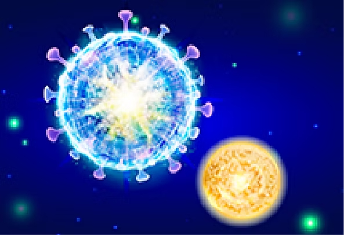 ハイブリッドエクソソーム（ヒト幹細胞培養液リポソームとエクソソームの融合）