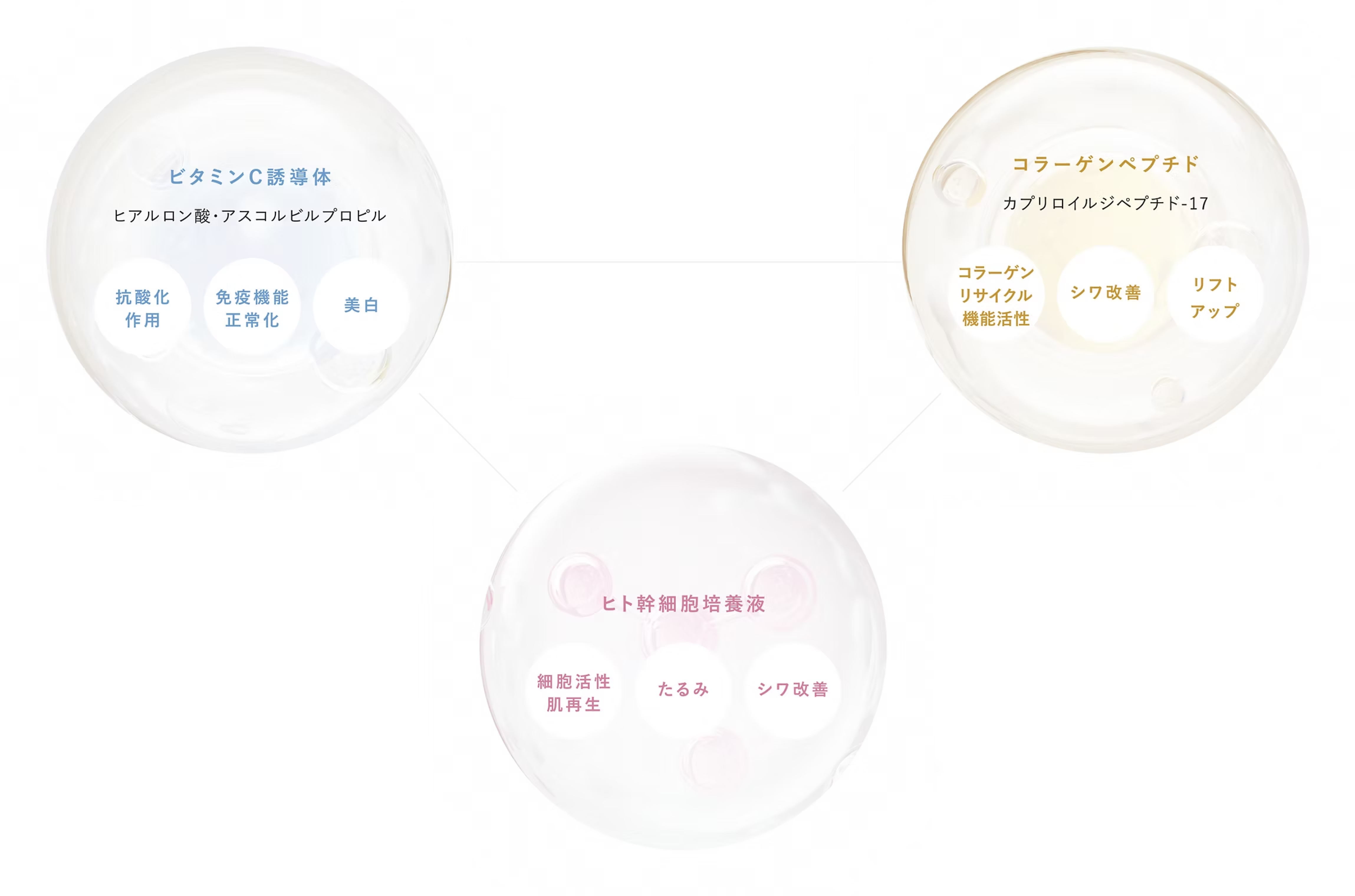 ビタミンC誘導体、コラーゲンペプチド、ヒト幹細胞培養液