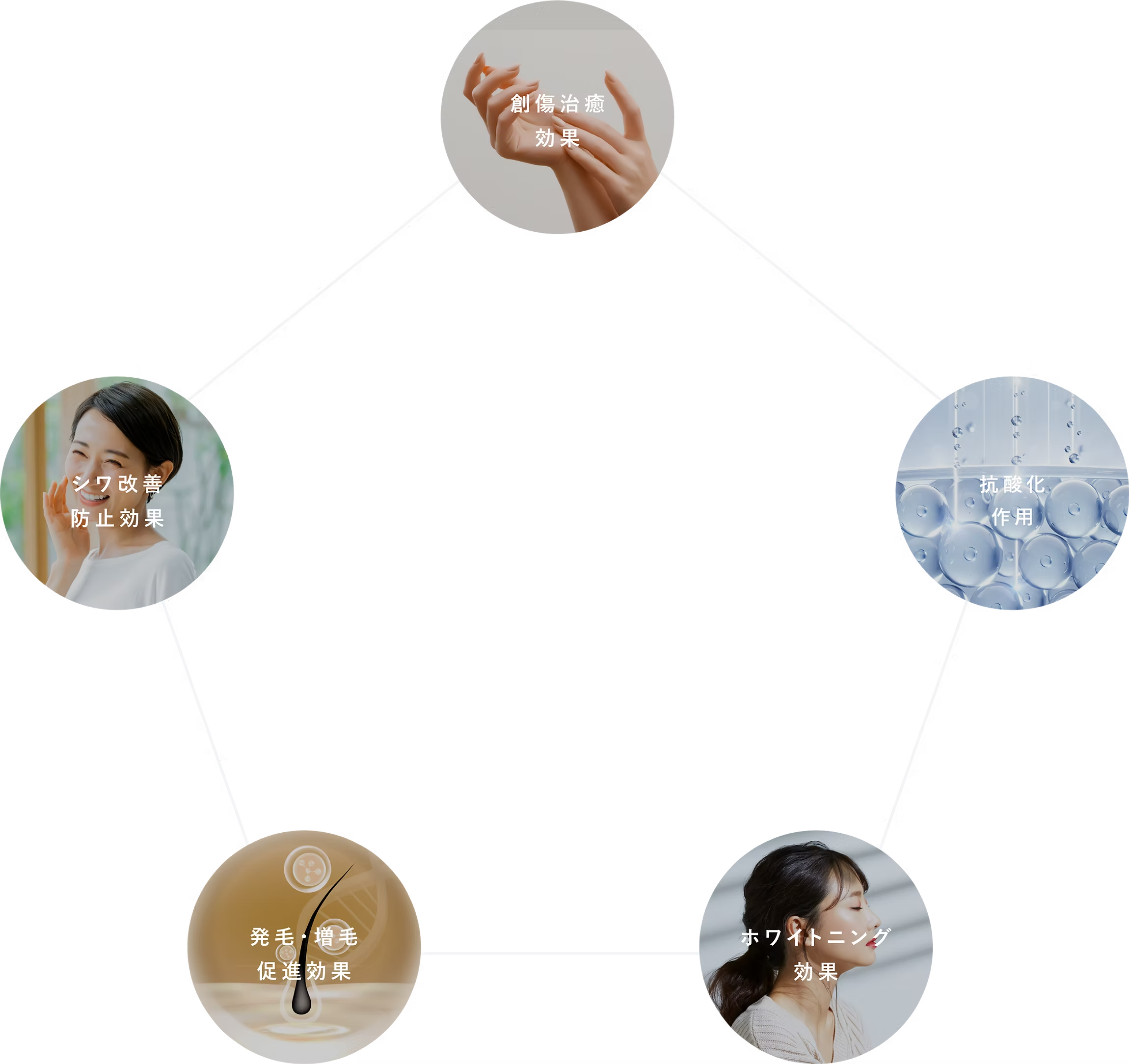 創傷治療効果・シワ改善防止効果・抗酸化作用・発毛・増毛促進効果・ホワイトニング効果