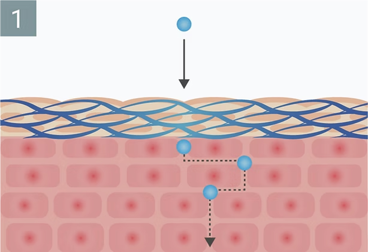 目的とする部位へ確実に届ける