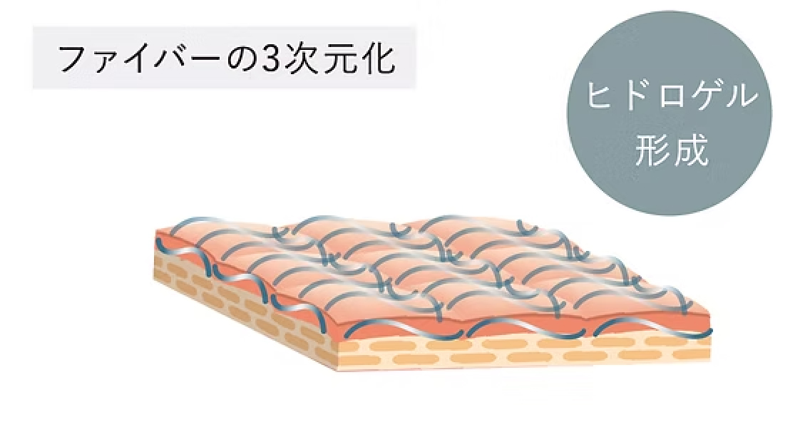 ファイバーの3次元化