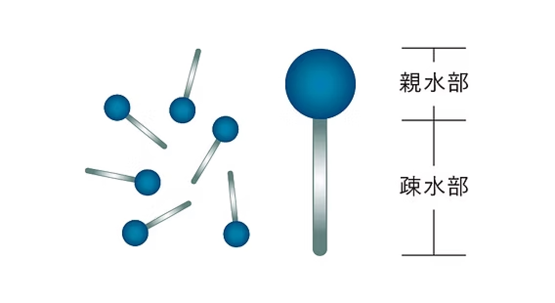 親水部、疎水部