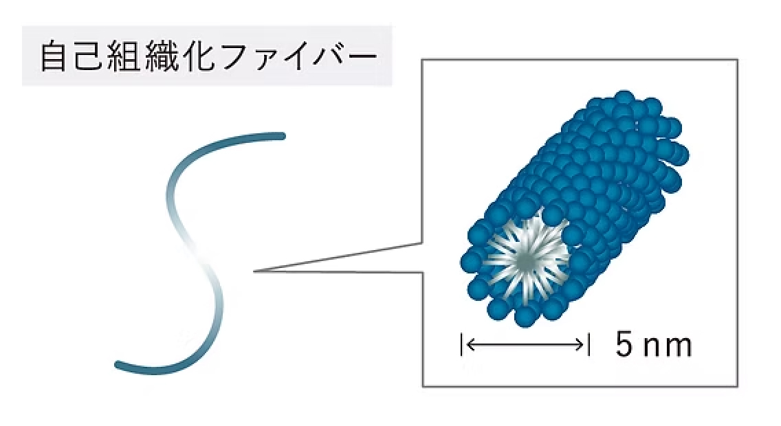 自己組織化ファイバー