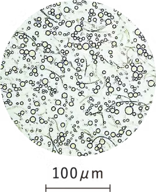 光学顕微鏡にて油分散状態を観察